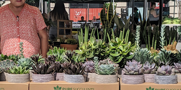 Historic Downtown Jersey City Farmers' Market