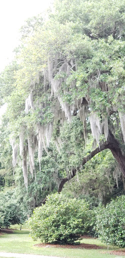 National Park «Charles Pinckney National Historic Site», reviews and photos, 1254 Long Point Rd, Mt Pleasant, SC 29464, USA