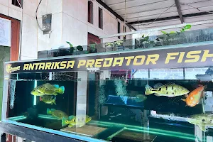 ANTARIKSA PREDATOR FISH image