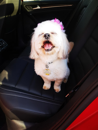 Pet Supply Store «Petco Animal Supplies», reviews and photos, 403 N 8th St, West Dundee, IL 60118, USA