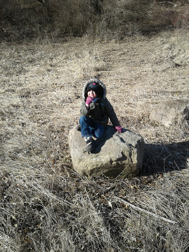 Nature Preserve «Schweitzer Woods Forest Preserve», reviews and photos, 16N690 Sleepy Hollow Rd, West Dundee, IL 60118, USA