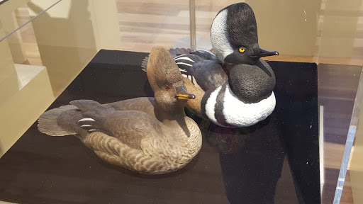 Museum «Cahoon Museum of American Art», reviews and photos, 4676 Falmouth Rd, Cotuit, MA 02635, USA