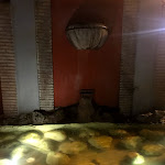 Photo n°4 de l'avis de Gabriele.a fait le 18/10/2019 à 08:34 sur le  Ristorante Checco dello Scapicollo à Rome