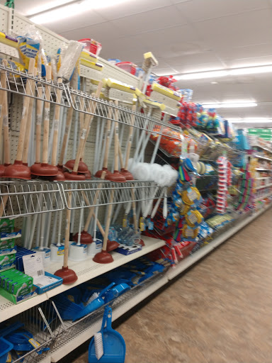 Dollar Store «Dollar Tree», reviews and photos, 8491 Grand River Ave, Brighton, MI 48116, USA