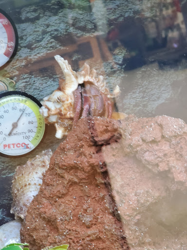 Pet Supply Store «Petco Animal Supplies», reviews and photos, 4751 W 29th St, Greeley, CO 80634, USA