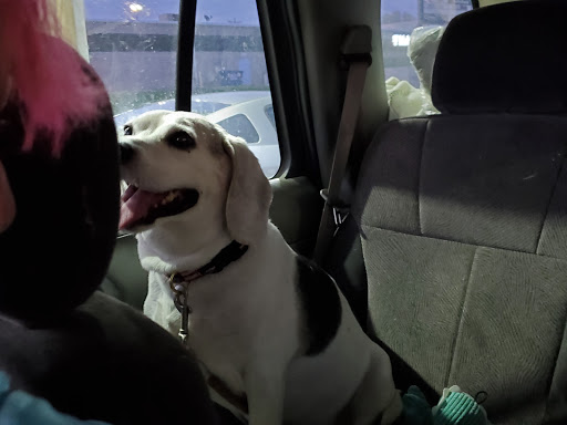 Department Store «Walmart Supercenter», reviews and photos, 2501 Walton Blvd, Warsaw, IN 46582, USA