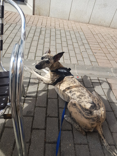 Clínica Veterinaria El Alamo en El Álamo