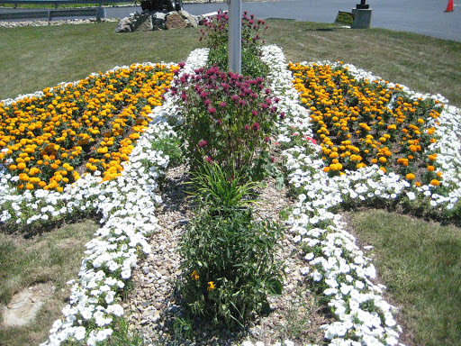 Motorcycle Dealer «Steel City Harley-Davidson», reviews and photos