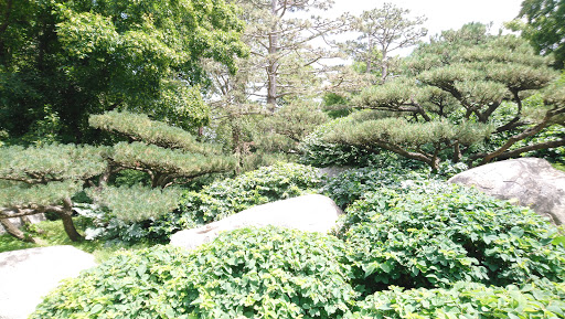 Golf Course «Como Park Golf Course», reviews and photos, 1431 Lexington Pkwy N, St Paul, MN 55103, USA