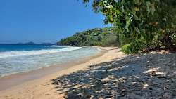 Foto de Anse Louis Beach com uma linha costeira espaçosa