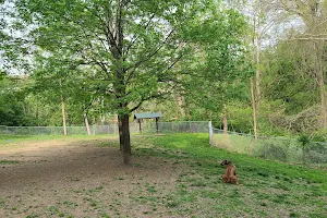 Stanley's Spot Dog Park image
