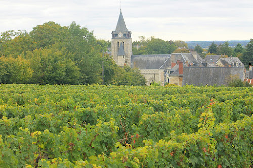 Domaine Bellivier à Huismes