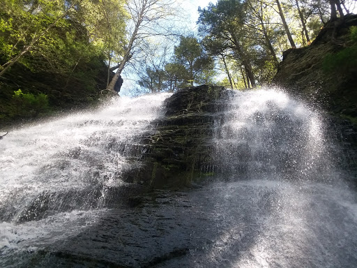 Nature Preserve «Sweedler and Thayer Preserves», reviews and photos, 10 Townline Rd, Ithaca, NY 14850, USA