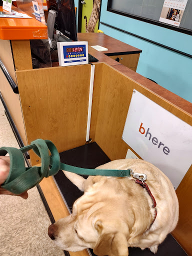 Pet Supply Store «PetSmart», reviews and photos, 51347 Gratiot Ave, Chesterfield, MI 48051, USA