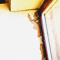 Jacks Termite Solutions - Photo 5 - Car repair in River Oaks, CA, Salinas