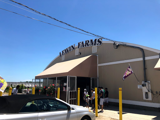 Farm «Lewin Farms», reviews and photos, 812 Sound Ave, Calverton, NY 11933, USA