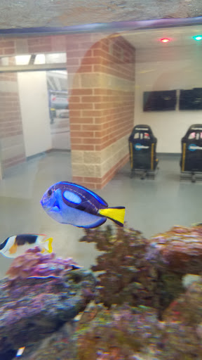 Honda Dealer «Motorcars Honda», reviews and photos, 2953 Mayfield Rd, Cleveland Heights, OH 44118, USA