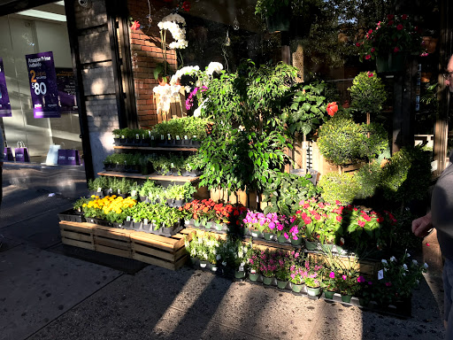 Florist «Anthony Flower Shop», reviews and photos, 4034 Broadway, New York, NY 10032, USA