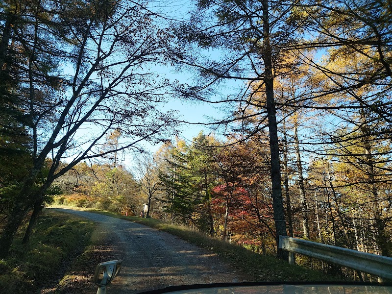 みかぼ森林公園