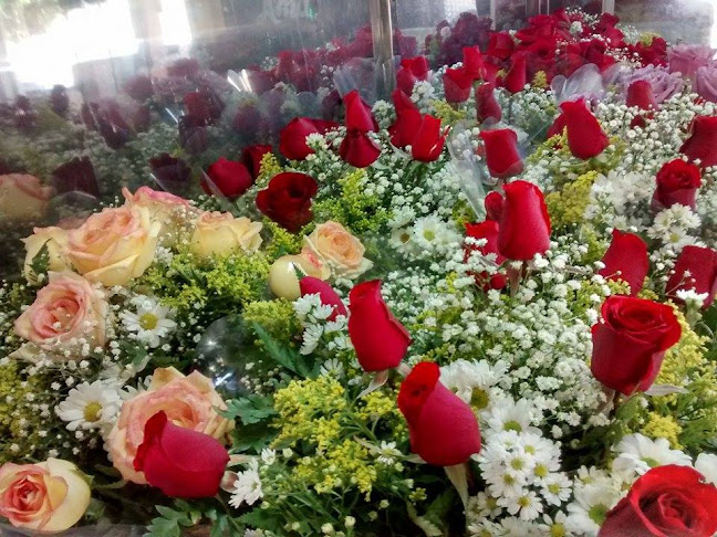 Avaliações sobre Floricultura Monte Líbano em Campo Grande - Floricultura