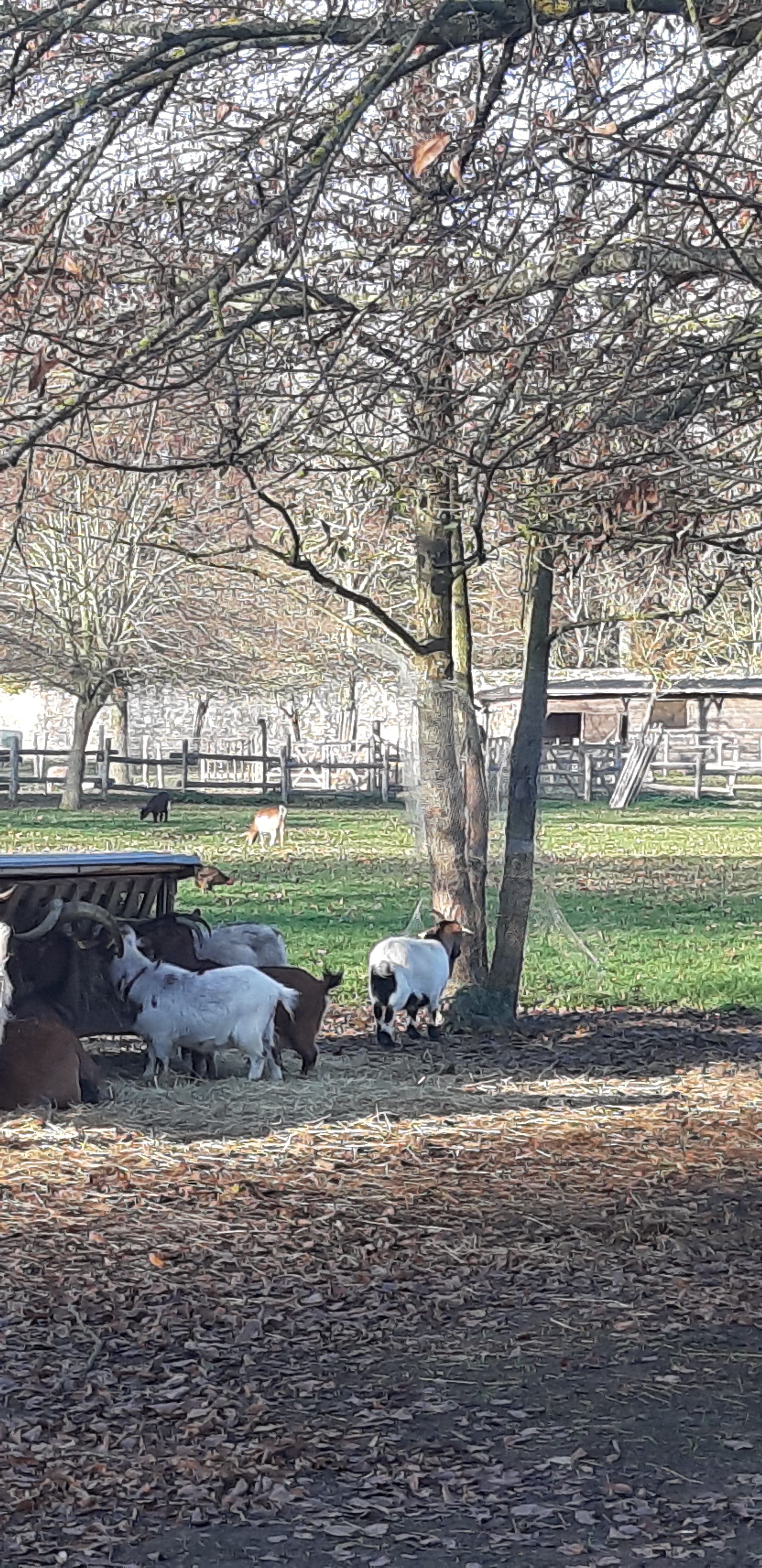 Photo n° 29 de l'avis de betty.o fait le 10/12/2019 à 11:19