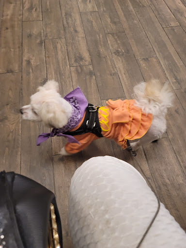 Pet Supply Store «Pet Supplies Plus», reviews and photos, 2155 Delaware Ave, Buffalo, NY 14216, USA