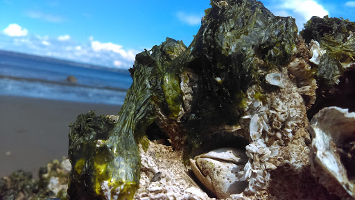 State Park «Dash Point State Park», reviews and photos, 5700 SW Dash Point Rd, Federal Way, WA 98023, USA