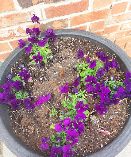 Drug Store «CVS», reviews and photos, 23391 Farmington Rd, Farmington, MI 48336, USA