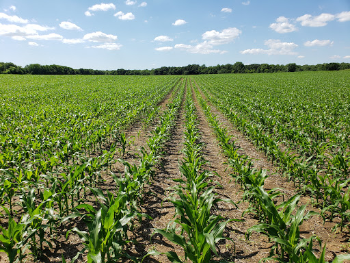 State Park «Monmouth Battlefield State Park», reviews and photos, 16 Business Route 33, Manalapan Township, NJ 07726, USA