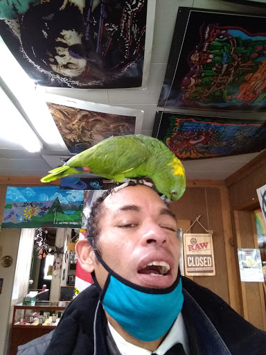 Boutique «Su Casa Boutique», reviews and photos, 1041 N Cedar St, Lansing, MI 48906, USA