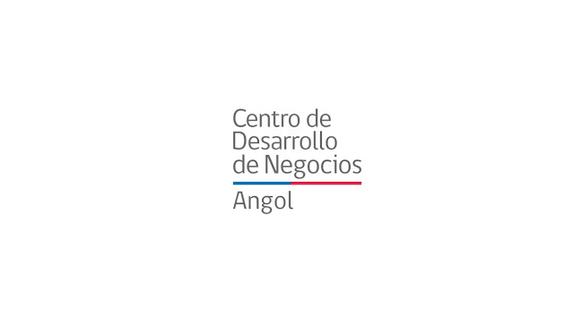 Centro de Negocios Sercotec Angol - Diseñador de sitios Web