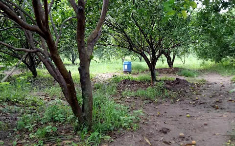 Wisata Petik Jeruk Pak Akhiyat image