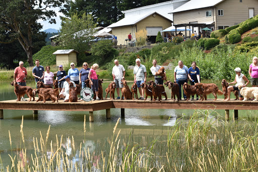 Winery «Airlie Winery», reviews and photos, 15305 Dunn Forest Rd, Monmouth, OR 97361, USA