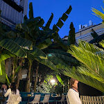 Photo n°2 de l'avis de pierluigi.' fait le 05/08/2023 à 18:50 sur le  BOTANICO à Pescara