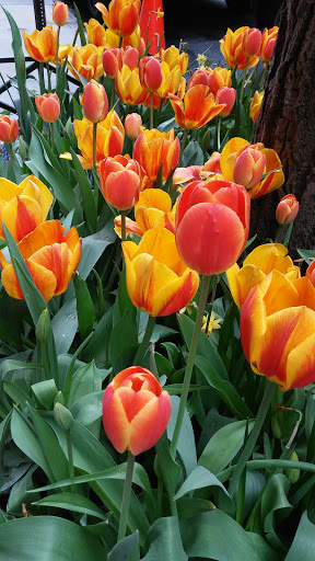 Art Museum «Cooper Hewitt Smithsonian Design Museum», reviews and photos, 2 E 91st St, New York, NY 10128, USA