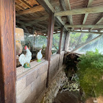 Photo n°6 de l'avis de Luis.a fait le 25/06/2023 à 09:51 sur le  Agriturismo Fattoria Terranova à Sant'Agata sui Due Golfi