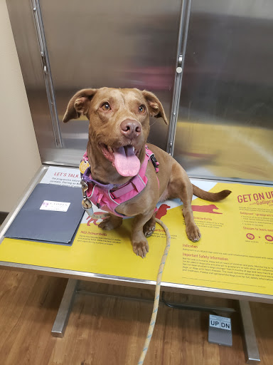 Animal Hospital «Animal Medical Corpus Christi», reviews and photos, 6822 Everhart Rd, Corpus Christi, TX 78413, USA