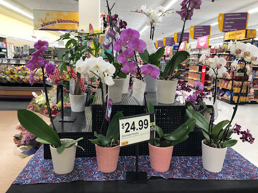 Grocery Store «Stop & Shop», reviews and photos, 55 Brick Blvd, Brick, NJ 08723, USA