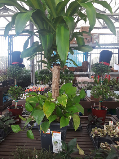 Home Improvement Store «The Home Depot», reviews and photos, 1694 W Indiantown Rd, Jupiter, FL 33458, USA