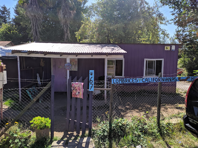 Peluqueria Canina Amapola - Villarrica