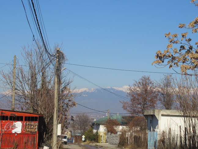 Comentarii opinii despre Петрич