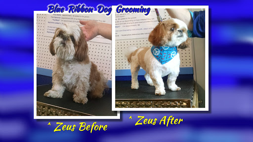 Pet Groomer «Blue Ribbon Dog Grooming LLC Anderson», reviews and photos, 5038 S Scatterfield Rd, Anderson, IN 46013, USA