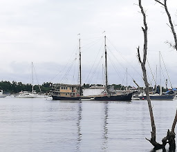 Hutan Tahura Ngurah Rai photo