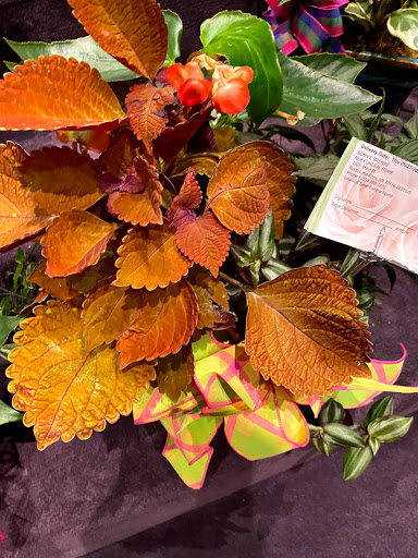 Florist «Fairytale Florals», reviews and photos, 3321 J.F.K. Blvd, North Little Rock, AR 72116, USA