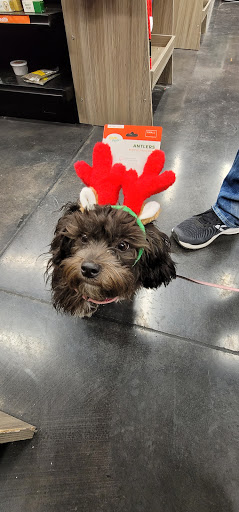 Pet Store «Market Street PET DEPOT», reviews and photos, 2979 S Market St, Gilbert, AZ 85295, USA