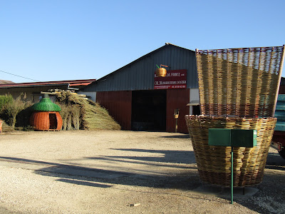 Oseraies de france à Champsevraine