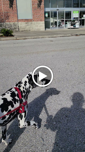 Fabric Store «Jo-Ann Fabrics and Crafts», reviews and photos, 10261 River Marsh Dr #149, Jacksonville, FL 32246, USA