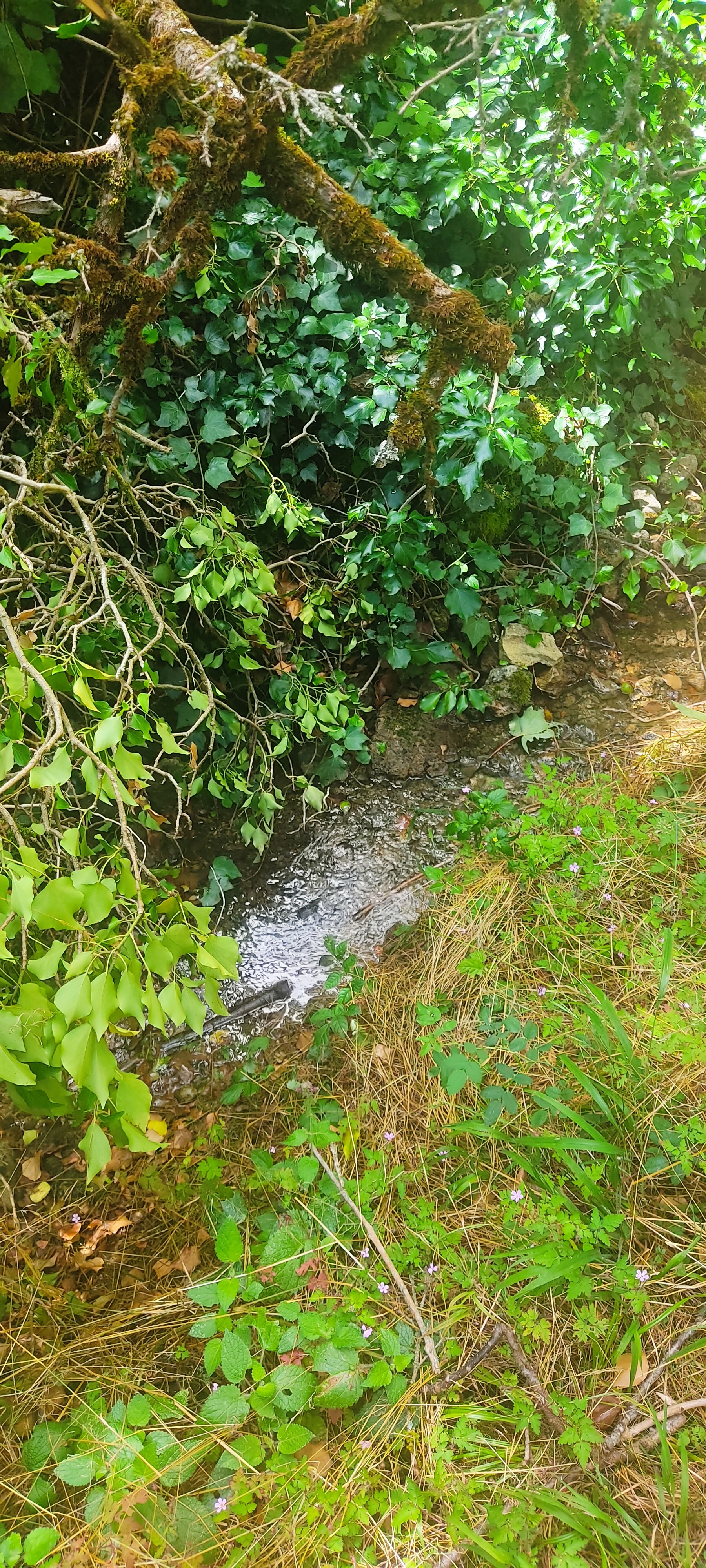 Photo n° 8 de l'avis de Rackam.e fait le 29/07/2023 à 11:58