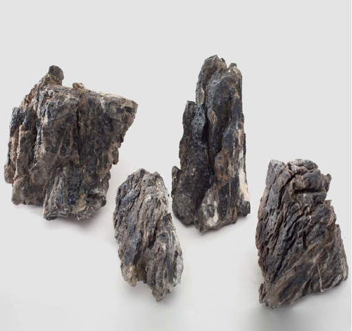 Aquarium «Neptunes Aquariums», reviews and photos, 5329 W 20th Ave, Hialeah, FL 33012, USA