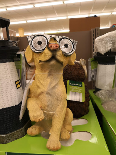 Supermarket «ALDI», reviews and photos, 3785 Nostrand Ave, Brooklyn, NY 11235, USA